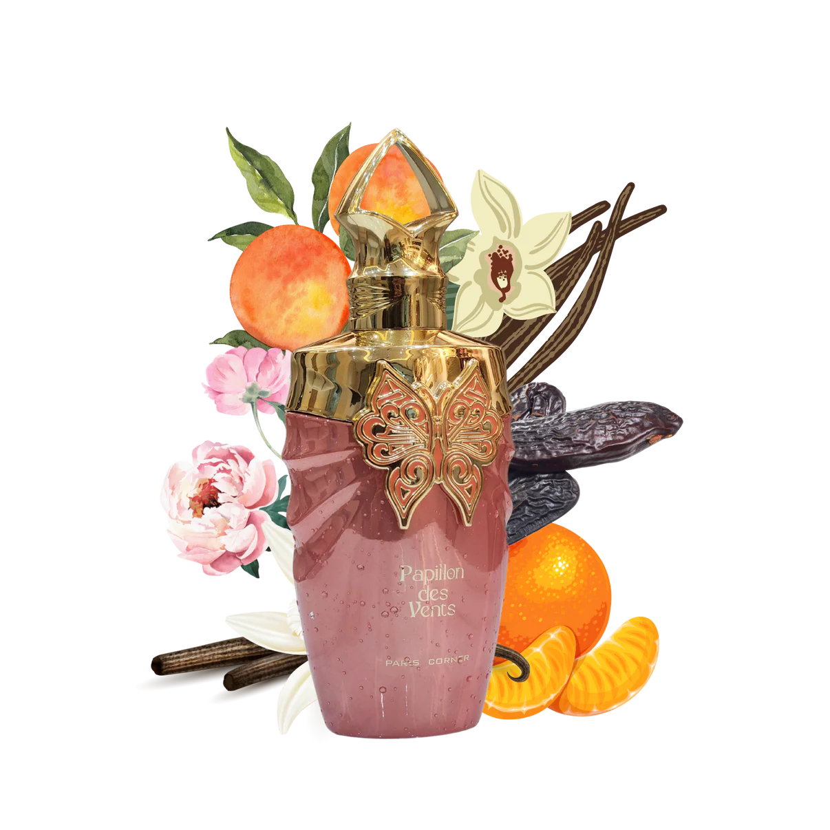 Papillons Des Vents by Paris Corner Eau de Parfum 100ml