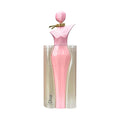 Diva by Fragrance World