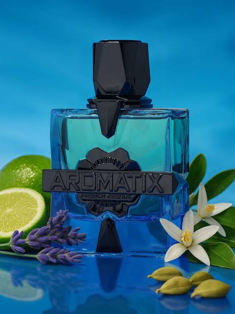 Aromatix Magnetiq by French Avenue