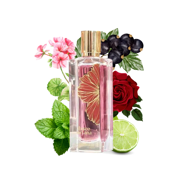 Ibisco Nirvana by Paris Corner